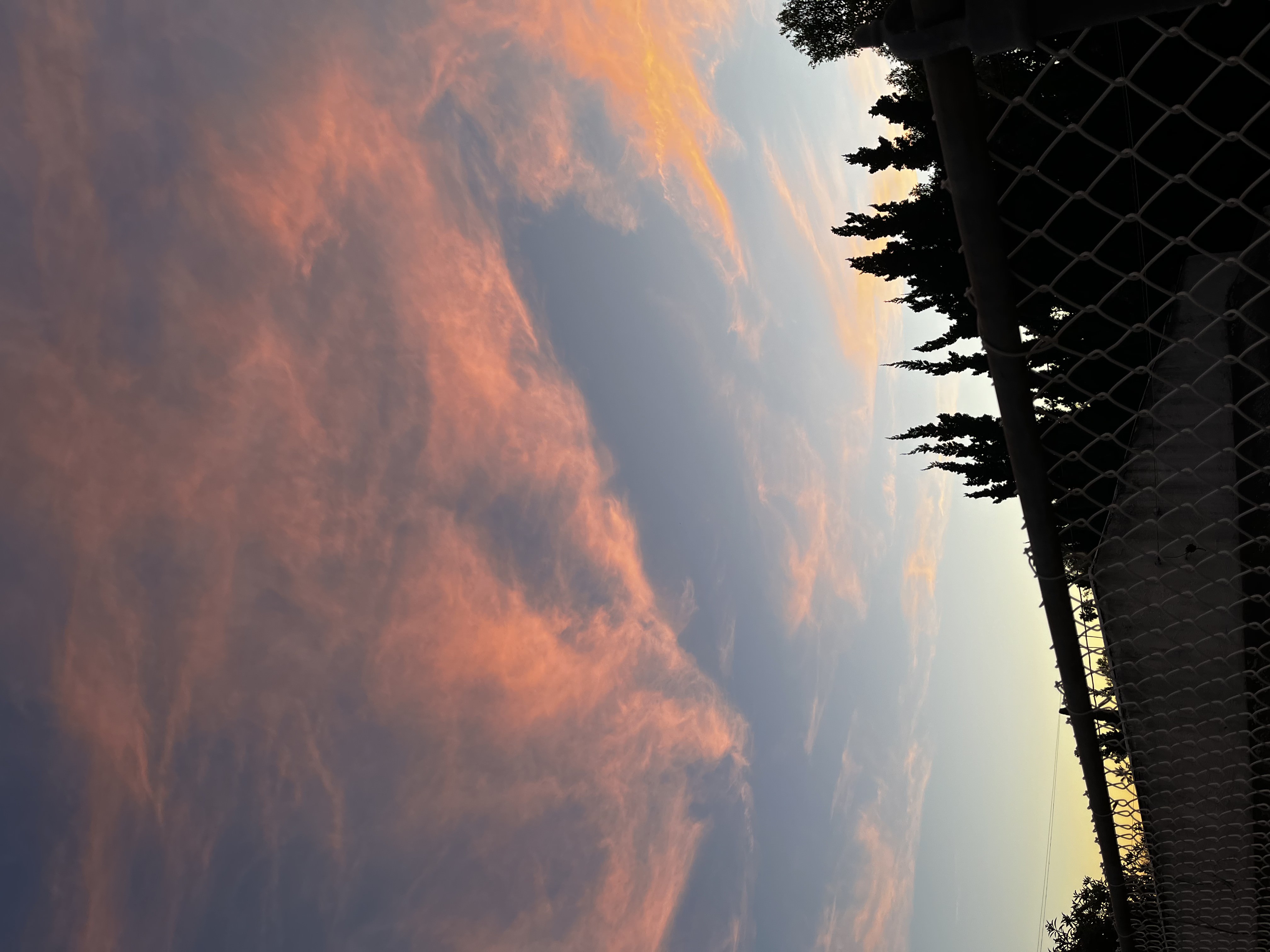 Photo Gallery Preview